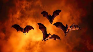 Enchanted Night Sky: Cute Halloween Bat Desktop Wallpaper