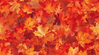 Autumnal Leaves Background Wallpaper