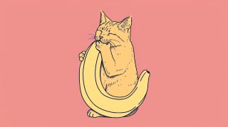 Emotional Banana Cat Image for Wallpaper