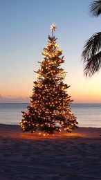 Free HD Mobile Wallpapers: Christmas on the Beach