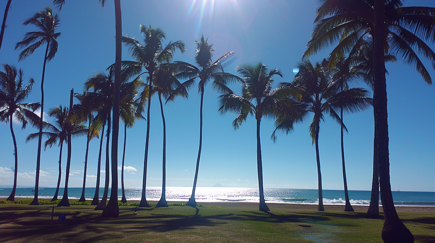 Free HD Wallpaper of Palm Trees by the Beach