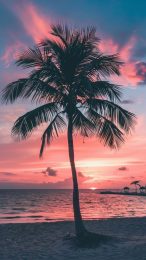 Stunning Beach Sunset Background for Android Phones