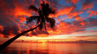 Vibrant Beach Sunset Images: Free Desktop Wallpapers