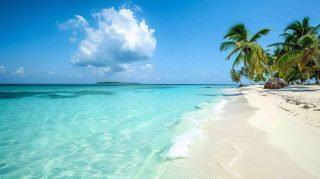 AI Wallpaper: Dreamy Beach with Palm Trees Background