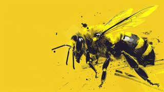 Pictures of Bees: Creating a Buzz on Your PC Screen