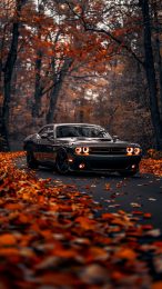 Stealthy Black Dodge Challenger Wallpaper