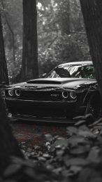 Dark Black Dodge Challenger Hellcat Wallpaper