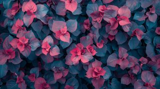 AI-Generated Blue Pink Flower Image