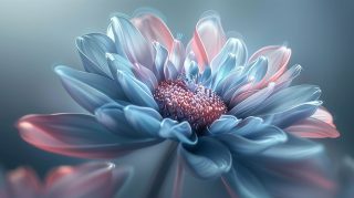 Blue Pink Flower HD Wallpaper