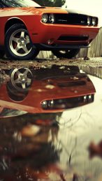 Classic Dodge Challenger Wallpaper