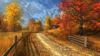 Tranquil Country Scene: Late Summer Ultra HD Wallpaper