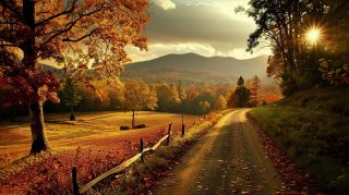 Rustic Country Views: Late Summer HD Wallpaper