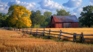 Late Summer Countryside: 1920x1080 Computer Wallpaper