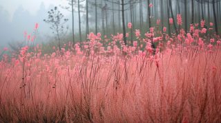 Digital Background: Cute Pink Flower Wallpaper