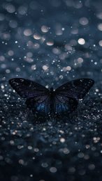 Dark Blue Aesthetic Butterfly iPhone Wallpaper HD