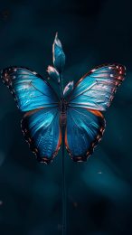 Ultra HD Dark Blue Aesthetic Butterfly iPhone Wallpaper