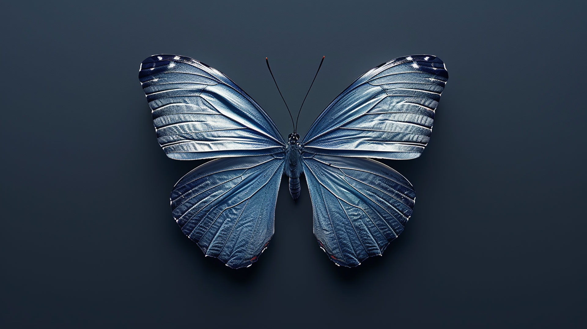 Digital Art: Dark Blue Aesthetic Butterfly Wallpaper