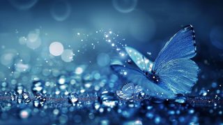 Ultra HD Dark Blue Aesthetic Butterfly Wallpaper