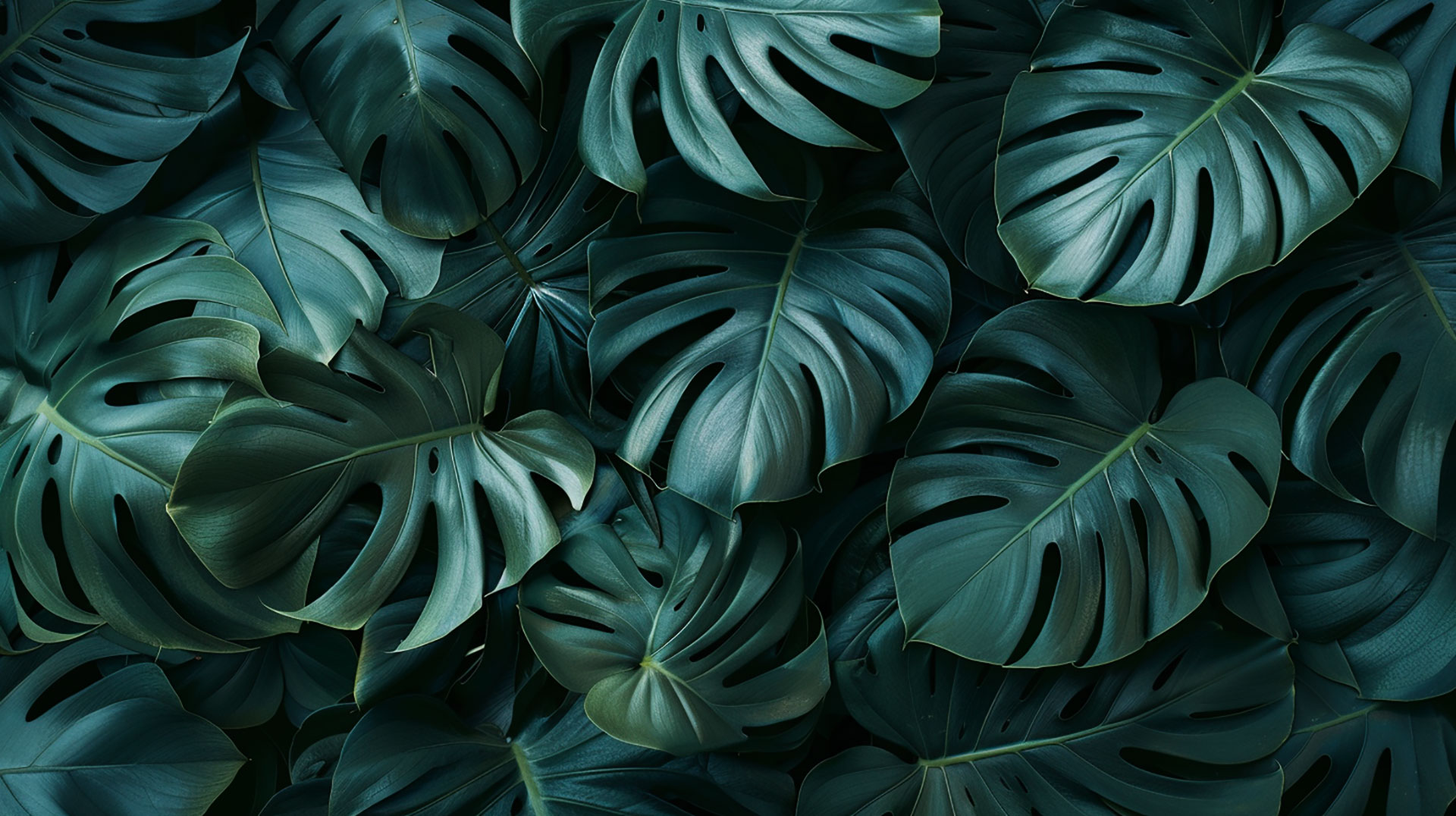 16:9 Dark Blue Green Aesthetic Desktop Background