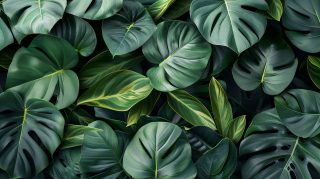 Dark Blue Green Aesthetic HD Wallpaper