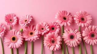 Design Flower Pink Wallpaper HD Background