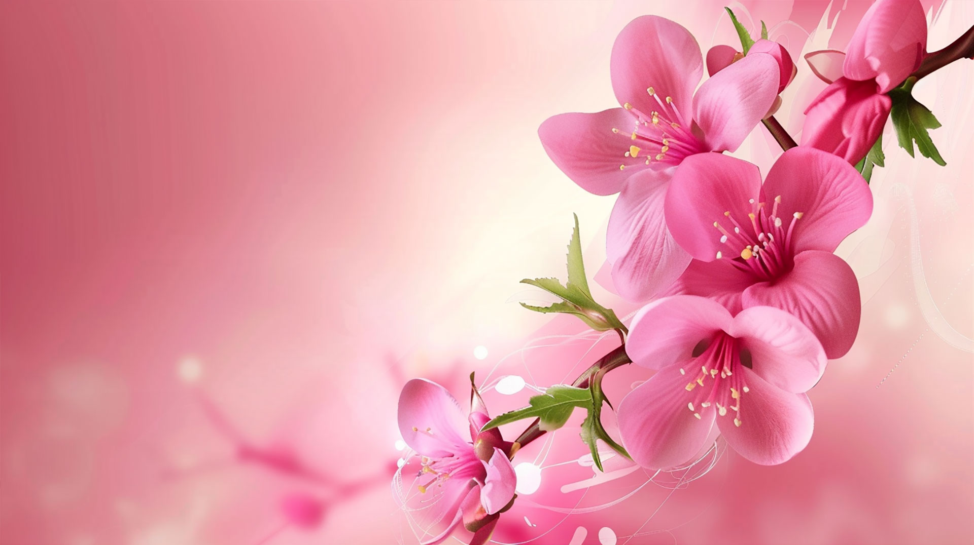 16:9 Pink Flower Design Desktop Wallpaper