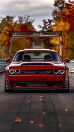 Dodge Challenger Hellcat Excitement Wallpaper