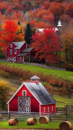 Stunning Autumn Colors Mobile Wallpaper for New England