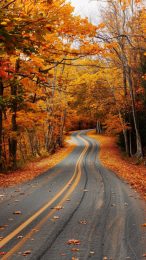 Serene Fall Foliage Mobile Wallpaper in New England