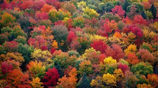 Serene Fall Landscape in New England Wallpaper