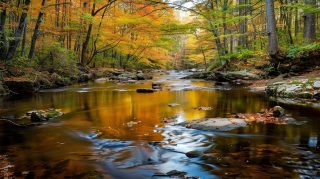 Vibrant Fall Colors in New England Wallpaper HD