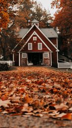 Serene Fall Landscape in New England iPhone Wallpaper