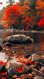 Fall in New England iPhone Wallpaper HD