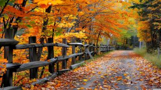 Free Download: Fall in New England Desktop Wallpaper