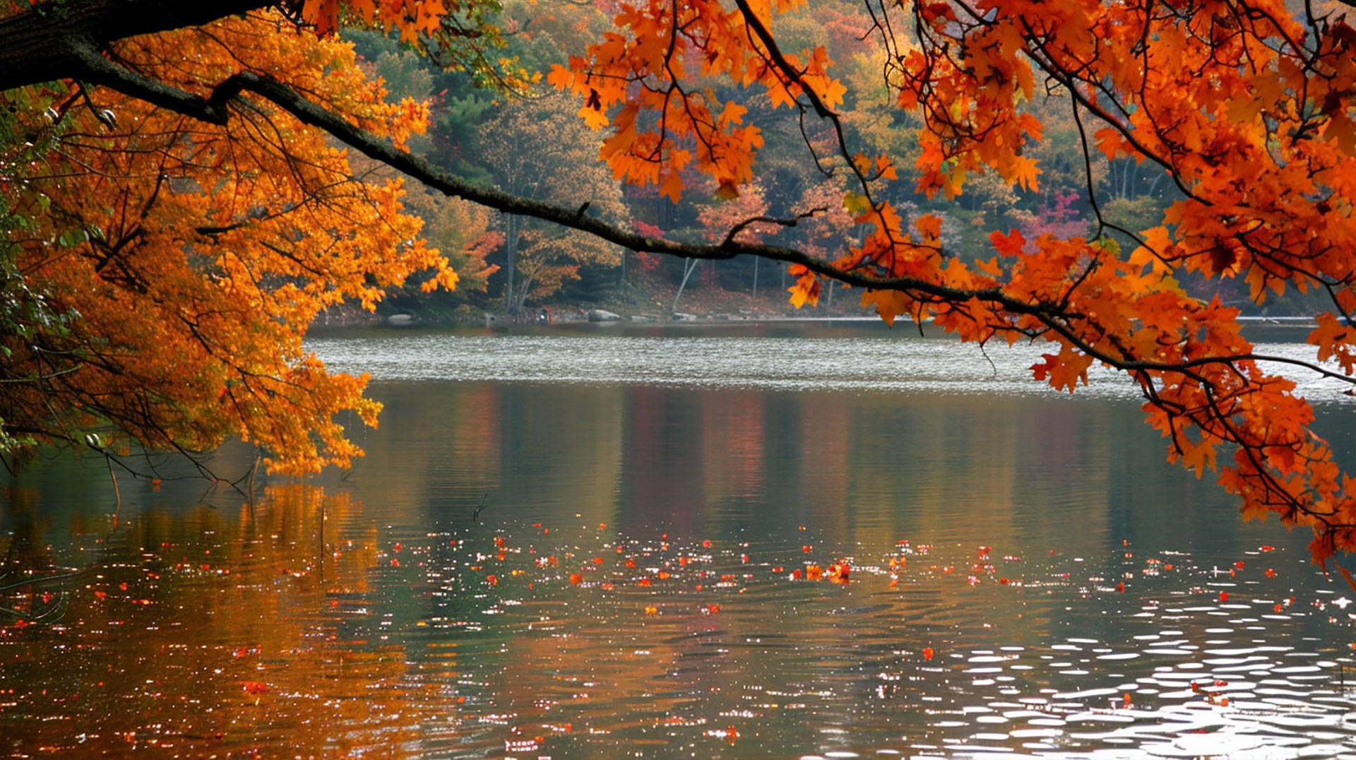 High-Quality Fall in New England Foliage Wallpaper