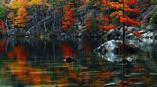 Free Download: Fall in New England Desktop Wallpaper