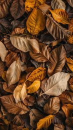 Golden Autumn Leaves Phone Background