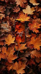 Serene Fall Foliage Aesthetic Wallpaper