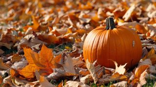 HD Fall Leaves and Pumpkins Wallpaper