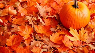 Cozy Fall Foliage with Pumpkins Background
