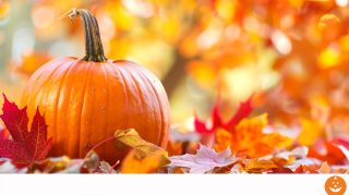 Golden Fall Leaves and Pumpkins Background