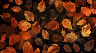 Elegant Fall Leaves Desktop Wallpaper