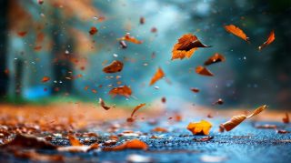 16:9 Aspect Ratio Fall Leaves Wallpaper