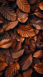 Elegant Fall Leaves iPhone Wallpaper