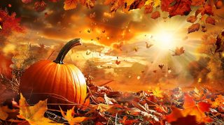 Thanksgiving AI Image HD Wallpaper Stock Photos