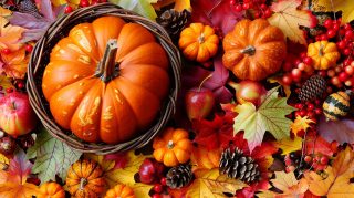 Download Free Thanksgiving Wallpaper for Google Pixel: Fall Harvest