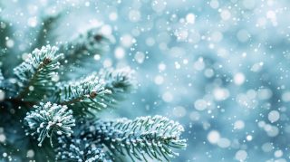 Cozy and Free Winter Holiday Desktop Backgrounds