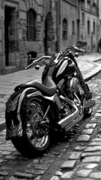 Stylish Harley Davidson Motorcycle iPhone Wallpaper