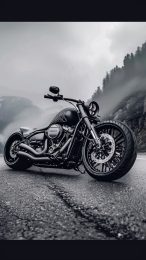 Sleek Harley Davidson Motorcycle iPhone Wallpaper