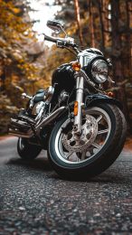 Dynamic Harley Davidson Motorcycle iPhone Wallpaper